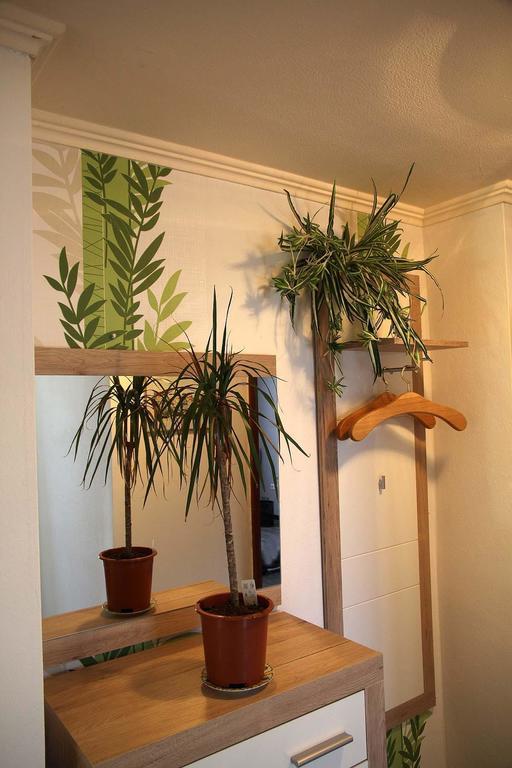 Apartmán Haus Panoramaweg Sohren Pokoj fotografie